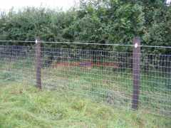 Agriculture >> Animal & Plant Extract p-k26 new style high quality farm fence