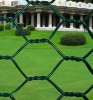 hexagonal wire mesh