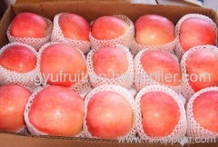 fresh fuji apple, red fuji apple, fresh apple, yantai apple, yantai red fuji apple
