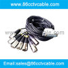 DB25 Multipin to 8 XLR 3-pin Cable