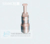 Supply of marine diesel engine B&W S26MC plunger