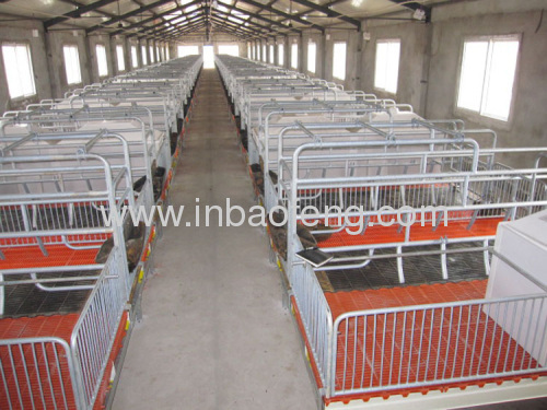 Good quality galvanized pipe sow farrowing crate