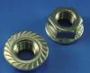 DIN6923 HEX FLANGE NUTS