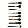 Professional Single End Blush Brush