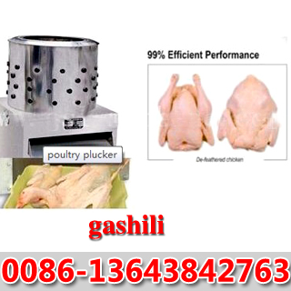Good quality Poultry plucker0086-13643842763
