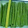 Frozen Asparagus