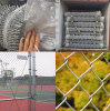 Galvanized Chain Link Fence