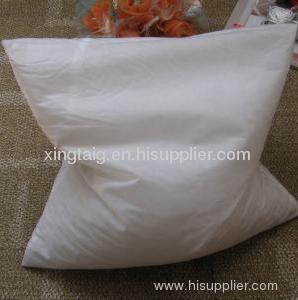 Square Straw Pillow Inner
