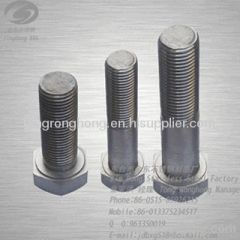 Stainless steel hexagon head bolt