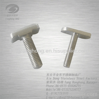 Stainless steel T-slot bolts