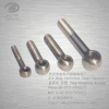 Stainless steel eyelet bolts