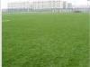 Bicolor Field Football Artificial Grass Soccer 50mm ,Gauge 3/4,Yarn Count 9800Dtex