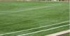 Custom Bicolor Thiolon University Playground Football Artificial Grass Lawns 12500 Dtex