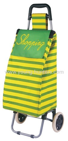 Quality Folding Shopping trolley bag