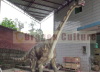 animatronic dinosaur shunosaurus