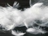 washed white duck feather