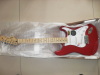 fender stratocaster electric guitar