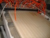 wood plastic door board extrusion line