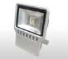 Super Bright outdoor Pure White or RGB IP65 40W Cob Led Projector Lamps