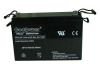 12V100ah VRLA UPS Battery