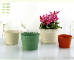 Flower Pot