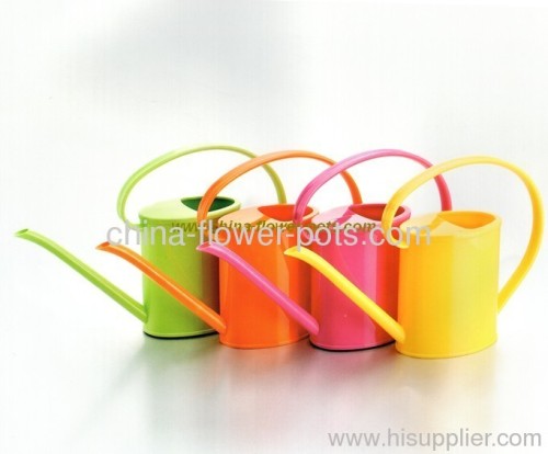 Plastic watering can