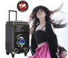 Movable Speaker with professional dj equipment