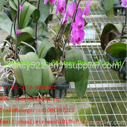 garden decorative high quality welded wire mesh panel made in Anping