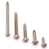 Pan head self tapping screw/Pan self tapping screw