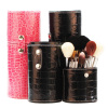 5PCS cosmetics brushes with case