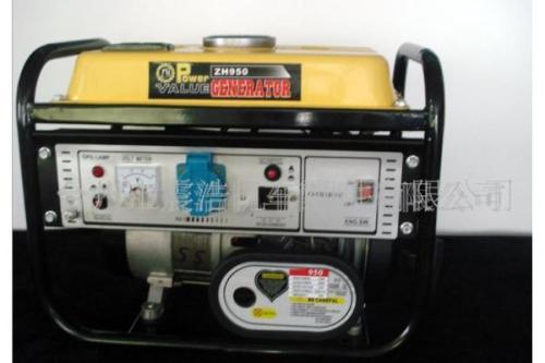 650w Home Generator - European Standard (ZH950C)