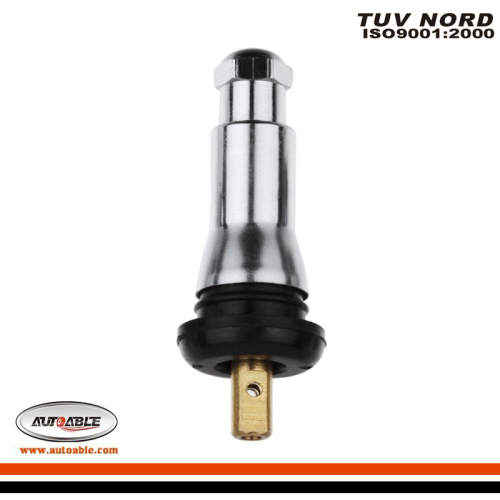 Passenger car tubeless TPMS valve