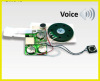 Sound module for greeting cards