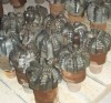 Used PDC Bits