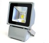 led flood light with 100W power