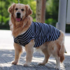 White-black stripe t-shirt for large dog
