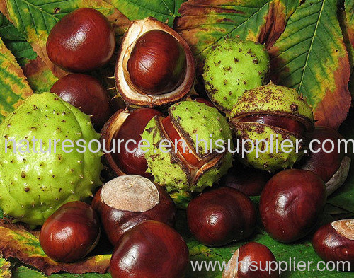 Horse Chest Nut Plant Extract