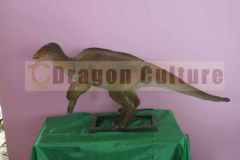 Dinosaur model for sale
