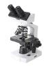 Binocular Digital Compound Biological Microscope with 1.3 Mega Pixel Digital Camera