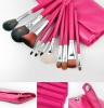 Pink Lady 11PCS Professional Cosmetic Brush Set (JDK-BSMS-94)