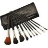 10PCS High Quality Persia Hair Makeup Brush Set (JDK-BSMS-940)