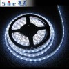 120LED/m SMD3528 LED Strip IP67