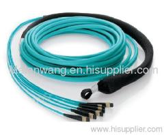 MPO MTP Harness & Fanout Cable assemblies