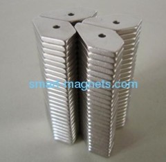 custom shape neodymium magnet