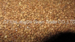 Roasted buckwheat kernel