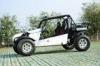 2 Wheel Rear Drive, 4-Speed-Hydraulic Transmission ATV All Terrain Vehicle PYT800-USA
