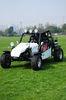 Hydraulic Four Wheel Disc, Stable 800cc Water-Cooled Engine, ECU ATV Quads PYT800-EEC