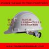 Plastic Motorcycle and Bike and Cycle Safety Helmet Mould