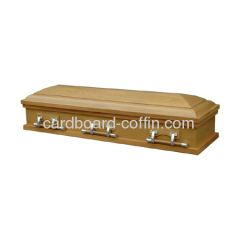 cardboard coffin & casket