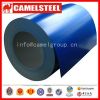 Prepainted galvanized steel coil